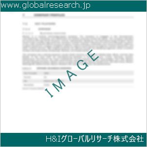 グローバルリサーチ調査資料のイメージ
